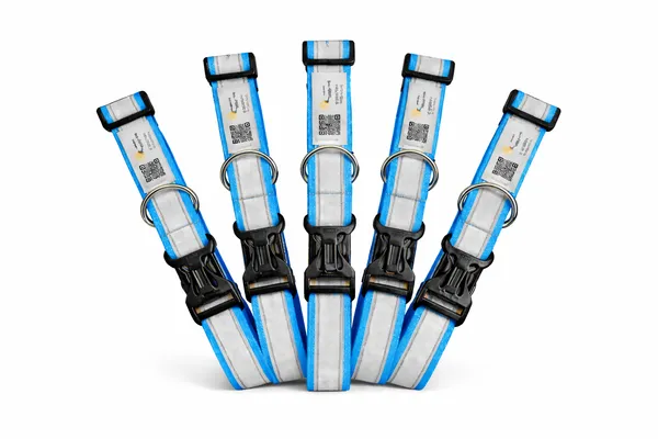 Blue_Reflective_Collar_With_Qr_Feature_Paw_Elite_Version_(25_Inch)