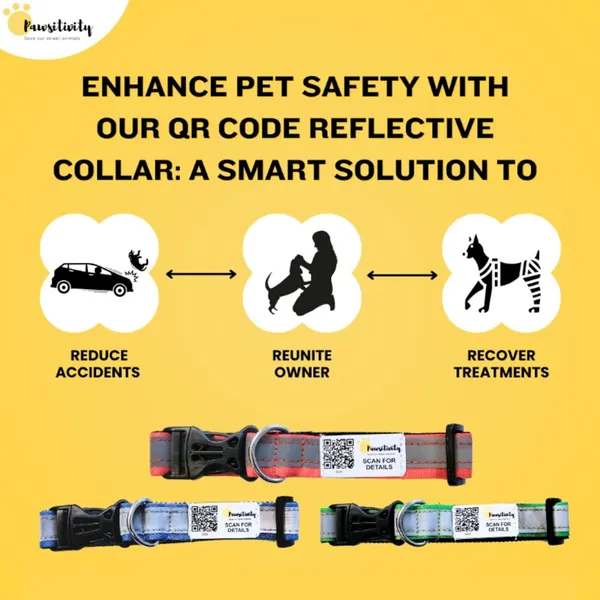 Blue_Reflective_Collar_With_Qr_Feature_Paw_Elite_Version_(25_Inch)
