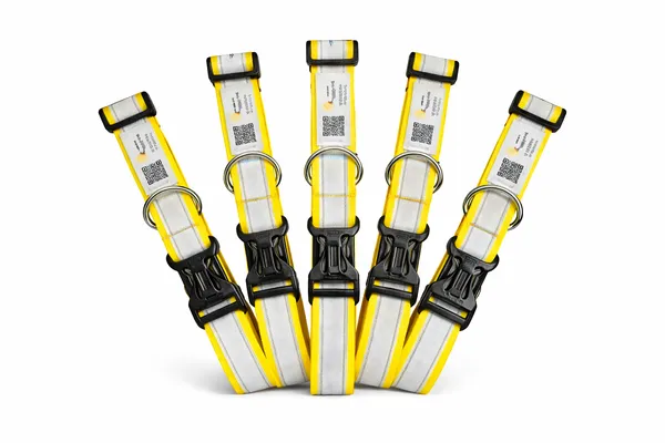 Yellow_Reflective_Collar_With_Qr_Feature_Paw_Elite_Version_(25_Inch)
