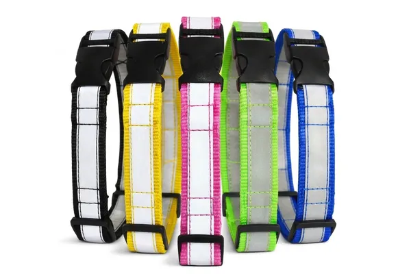 Multicolor_Reflective_Collar__Pawlite_Version_(25_Inch)