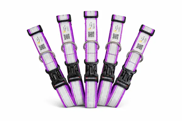 Purple_Reflective_Collar_With_Qr_Feature_Paw_Elite_Version_(25_Inch)