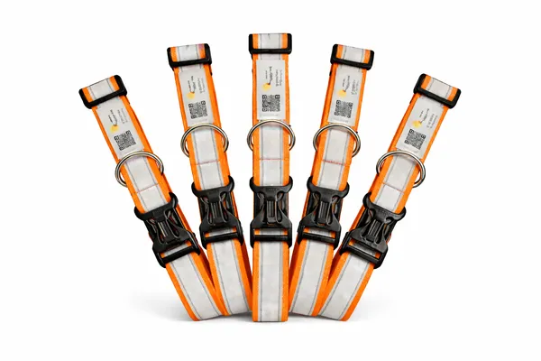 Orange_Reflective_Collar_With_Qr_Feature_Paw_Elite_Version_(25_Inch)