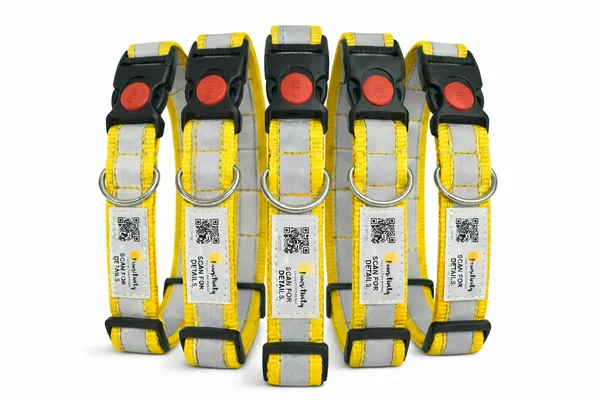 Yellow_Anti_Theft_Reflective_Collars_For_Dogs_(25_Inch)