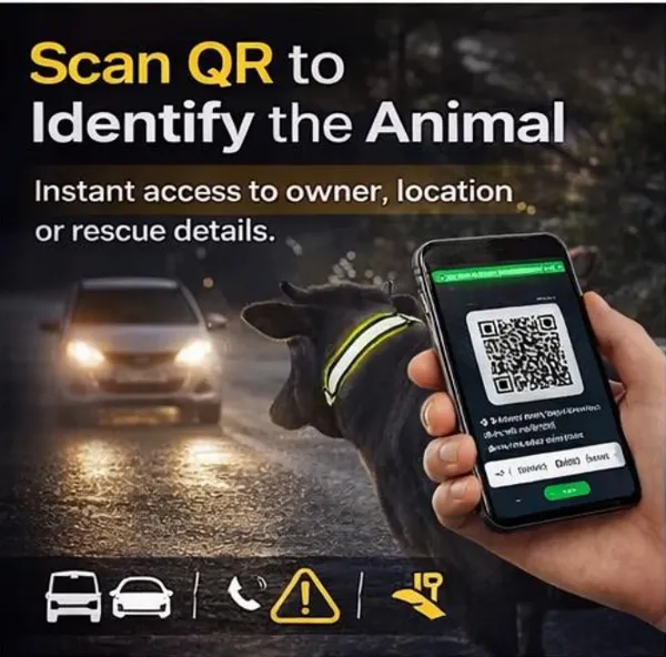 Blue_Qr_Enabled_Reflective_Collar_For_Stray_Cows_(45_Inch)
