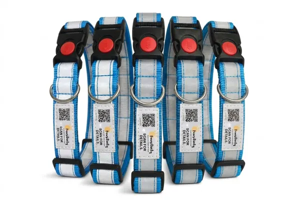 Blue_Anti_Theft_Reflective_Collars_For_Dogs_(25_Inch)