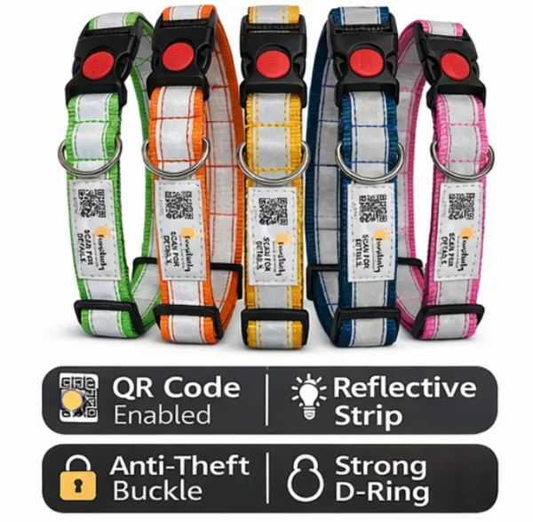 Blue_Anti_Theft_Reflective_Collars_For_Dogs_(25_Inch)
