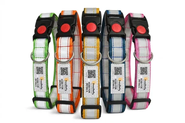 Multicolor_Anti_Theft_Reflective_Collars_For_Dogs_(25_Inch)