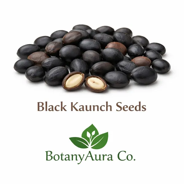 Black_Kaunch_Seeds_Mucuna_Pruriens_Pure_Herbal_Raw_Seeds