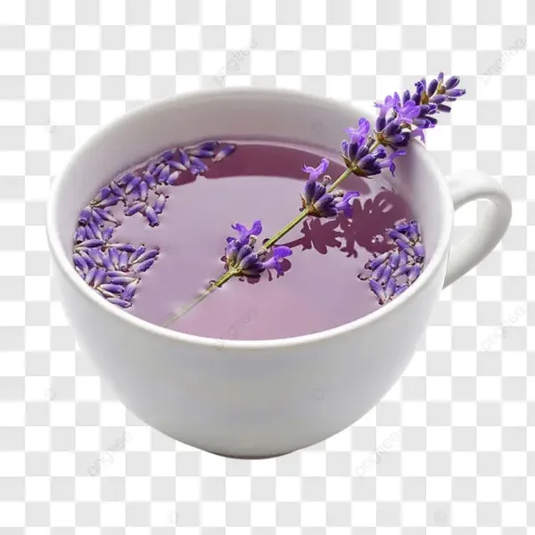 Lavender_Tea_Pure_Dried_Lavender_Flowers_Caffeine_Free_Herbal_Infusion