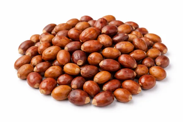 Malkangni_Seeds_Jyotishmati_Celastrus_Paniculatus_Premium_Herbal_Seeds_Botanyaura_Co