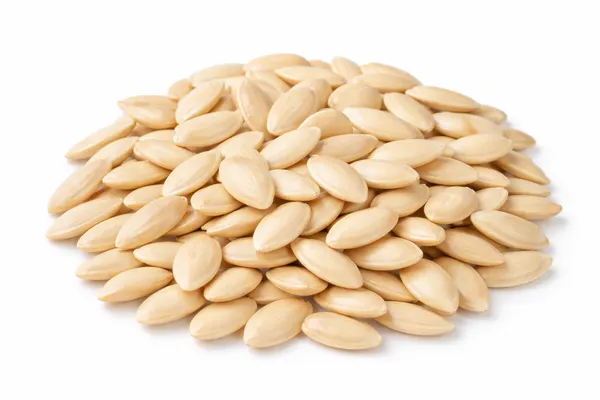 Muskmelon_Seeds_Cucumis_Melo
