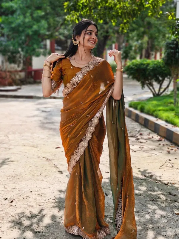 Brown_Embroidered_Velvet_Saree_For_Women