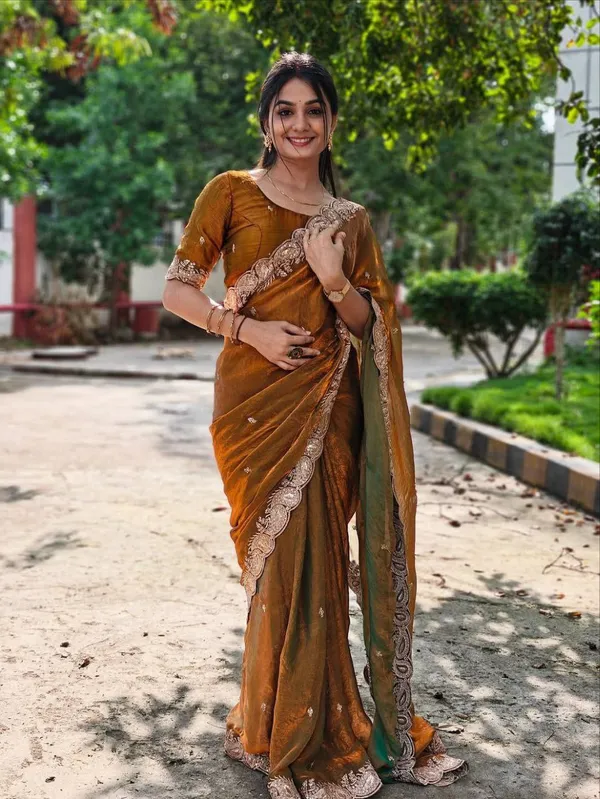 Brown_Embroidered_Velvet_Saree_For_Women