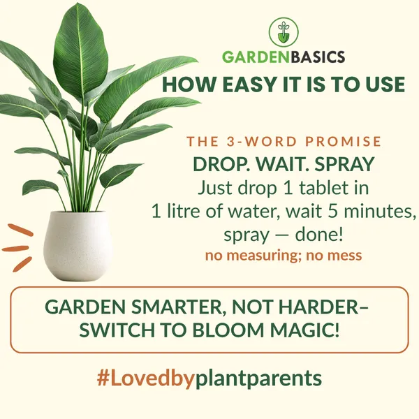 Bloom_Magic_Flower_Booster_Micro_Nutrient_Tablets_|_Enhances_Flowering_&_Plant_Growth_|_Plant_Food_Tablet_|_Mess-Free_Nutri_Tablet_For_All_Plants_|_Indoor_&_Outdoor_Use_(25_Tablets)_