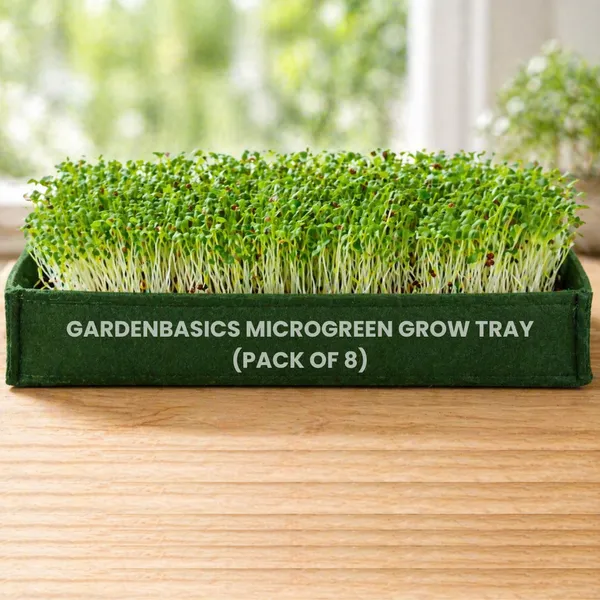 GARDENBASICS_400_GSM_Geo_Fabric_Microgreen_Growing_Tray_|_Hydroponics_Trays_|_Reusable_Breathable_Planter_for_Fast_&_Healthy_Microgreens_|_Growing_Kit_Base_|_Green_Heavy_Duty_Grow_Bed_(Pack_of_8)