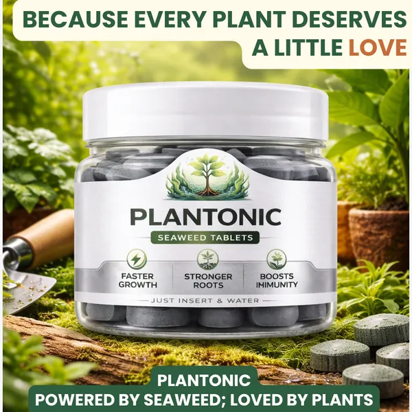 Plantonic_Seaweed_Tablets_For_Plant_Growth_|_Organic_Plant_Food_For_Indoor_&_Outdoor_Plants_|_Easy_Drop-In_Soil_No_Mess_|_More_Blooms_Greener_Leaves_Strong_Roots_|_25_Tablets