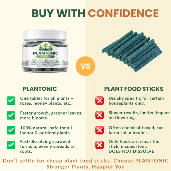 Plantonic_Seaweed_Tablets_For_Plant_Growth_|_Organic_Plant_Food_For_Indoor_&_Outdoor_Plants_|_Easy_Drop-In_Soil_No_Mess_|_More_Blooms_Greener_Leaves_Strong_Roots_|_25_Tablets
