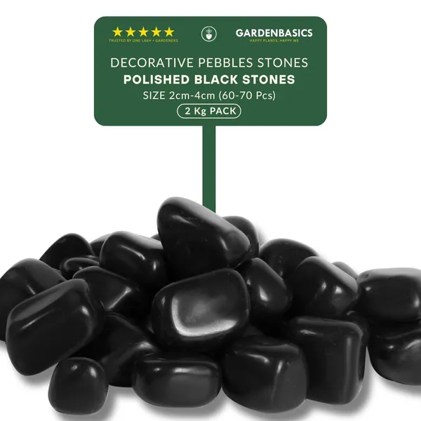 Polished_Black_Pebbles_For_Plants_Pots_Decorative_Pebbles_Stones_For_Garden_Pebble_Stones_For_Table_Decoration_River_Rocks_For_Potted_Indoor_Planters_Fish_Tank_Aquarium_2_Kg