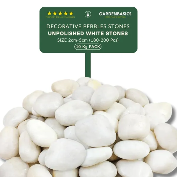 Unpolished_White_Pebbles/_Pebble/_Natural_Decorative_River_Water_Rocks/_Stones_For_Garden_Gardening_Landscaping_Home_Decoration_Vase_Fillers_Rock_Art_And_Potted_Plants_(10_Kg)
