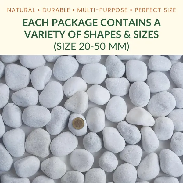 Unpolished_White_Pebbles/_Pebble/_Natural_Decorative_River_Water_Rocks/_Stones_For_Garden_Gardening_Landscaping_Home_Decoration_Vase_Fillers_Rock_Art_And_Potted_Plants_(10_Kg)