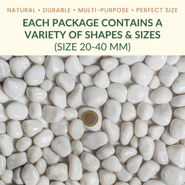 Polished_White_Pebbles_For_Plants_Pots_|_Decorative_Pebbles_Stones_For_Garden_|_Pebble_Stones_For_Table_Decoration_|_River_Rocks_For_Potted_Indoor_Planters_|_Fish_Tank_Aquarium_|_2_Kg