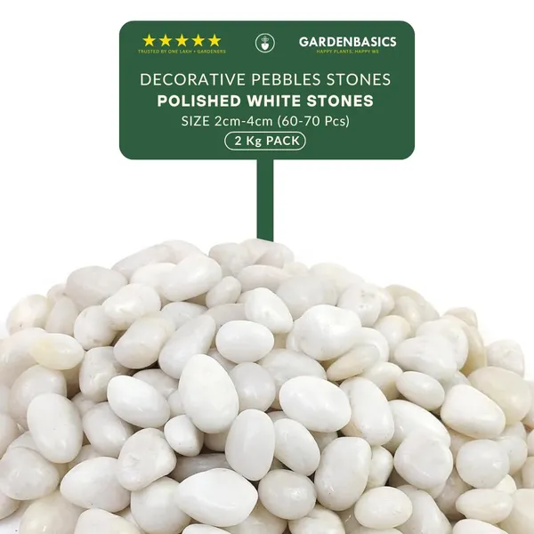 Polished_White_Pebbles_For_Plants_Pots_|_Decorative_Pebbles_Stones_For_Garden_|_Pebble_Stones_For_Table_Decoration_|_River_Rocks_For_Potted_Indoor_Planters_|_Fish_Tank_Aquarium_|_2_Kg