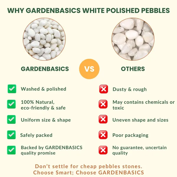 Polished_White_Pebbles_For_Plants_Pots_|_Decorative_Pebbles_Stones_For_Garden_|_Pebble_Stones_For_Table_Decoration_|_River_Rocks_For_Potted_Indoor_Planters_|_Fish_Tank_Aquarium_|_2_Kg