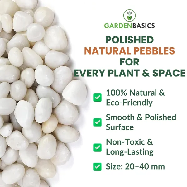 Polished_White_Pebbles_For_Plants_Pots_|_Decorative_Pebbles_Stones_For_Garden_|_Pebble_Stones_For_Table_Decoration_|_River_Rocks_For_Potted_Indoor_Planters_|_Fish_Tank_Aquarium_|_2_Kg