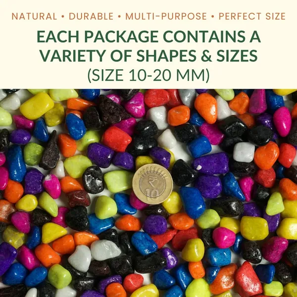 Multicolor_Gravels_|_Pebbles_For_Plants_Pots_|_Decorative_Pebbles_Stones_For_Garden_|_Pebble_Stones_For_Decoration_|_River_Rocks_For_Potted_Indoor_Planters_|_Fish_Tank_Aquarium_|_2_Kg