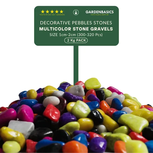 Multicolor_Gravels_|_Pebbles_For_Plants_Pots_|_Decorative_Pebbles_Stones_For_Garden_|_Pebble_Stones_For_Decoration_|_River_Rocks_For_Potted_Indoor_Planters_|_Fish_Tank_Aquarium_|_2_Kg