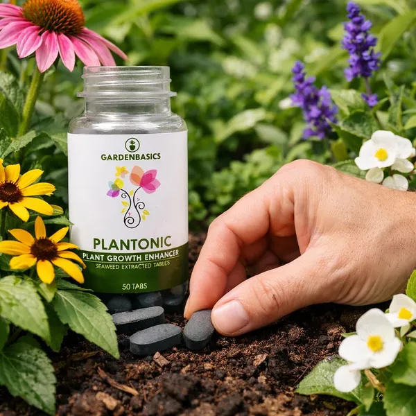 Plant_Growth_Plantonic_Tablets_Plant_Growth_Enhancer_Supplement_For_All_Plants_Growth_Booster_For_Pot_Plants_Flowering_Booster_Easy_To_Use_Seaweed_Tablet