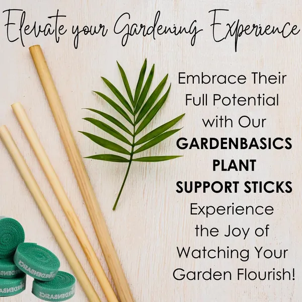 Product_Summary_Gardenbasics_Wooden_Plant_Support_Sticks_2_Feet_Hardwood_Plant_Stakes_For_Pots_5_Pcs_Plant_Ties_For_Climbers_10_Pcs_Natural_Wood_Potted_Plants_Stick_For_Creeper_With_Twist_Tie