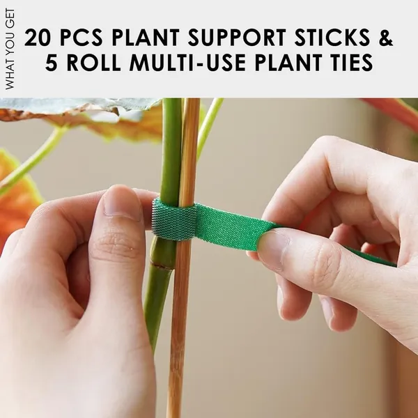 Product_Summary_Gardenbasics_Wooden_Plant_Support_Sticks_2_Feet_Hardwood_Plant_Stakes_For_Pots_5_Pcs_Plant_Ties_For_Climbers_10_Pcs_Natural_Wood_Potted_Plants_Stick_For_Creeper_With_Twist_Tie