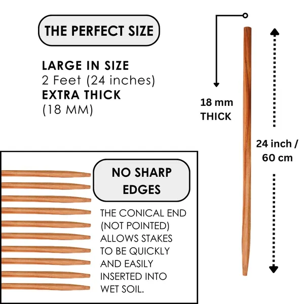 Wooden_Plant_Support_Sticks_2_Feet_Hardwood_Plant_Stakes_For_Pots_20_Pcs_Natural_Wood_Potted_Plants_Stick_For_Creeper_Plant_Support_Stick_For_Climbers