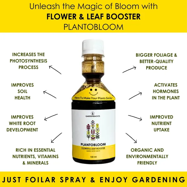 Flowering_Fertilizer_For_Plants_Flowering_Fruiting_Liquid_Plantobloom_For_Indoor_Outdoor_Use_Fruiting_Fertilizer_Flowering_Booster_For_Home_Gardening_150_Ml