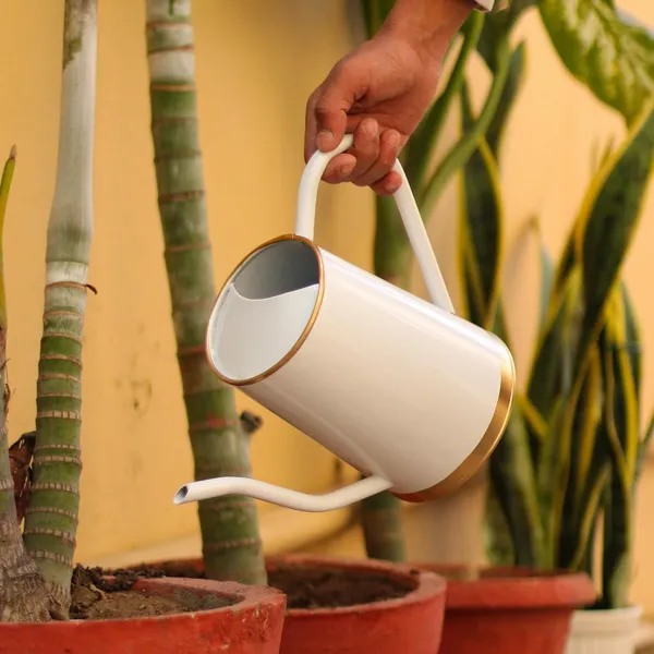 Watering_Can_For_Plants_Metal_Watering_Can_With_Long_Spout_Flower_Watering_Pot_For_Home_Gardening_Terrace_Garden_Accessories_Garden_Water_Can_For_Indoor_White_1_5_Litre