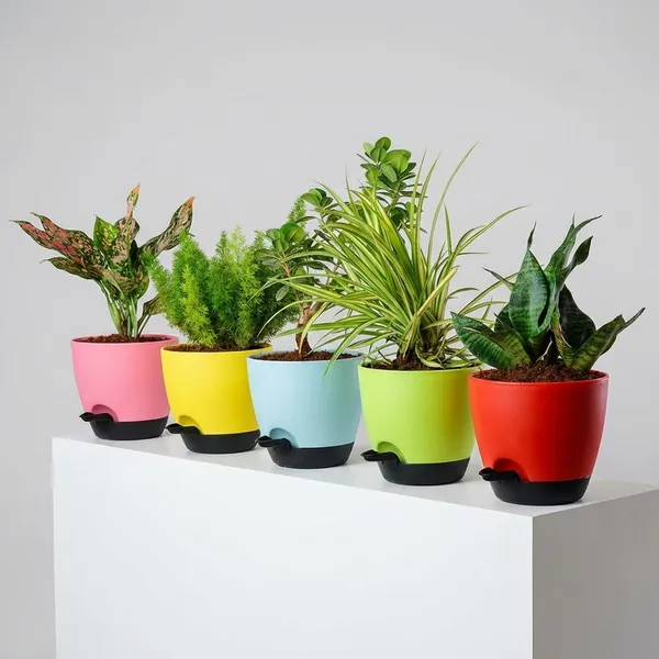 Plant_Pot_|_Planters_For_Indoor_&_Outdoor_Gardening_|_Lightweight_Durable_Uv-Resistant_|_Decorative_Flower_Pots_For_Home_With_Watering_Lips_Balcony_Garden_(Vibrant_Plant_Pots_(5_Pcs))