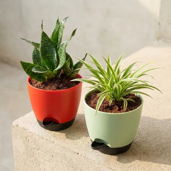 Plant_Pot_|_Planters_For_Indoor_&_Outdoor_Gardening_|_Lightweight_Durable_Uv-Resistant_|_Decorative_Flower_Pots_For_Home_With_Watering_Lips_Balcony_Garden_(Vibrant_Plant_Pots_(5_Pcs))