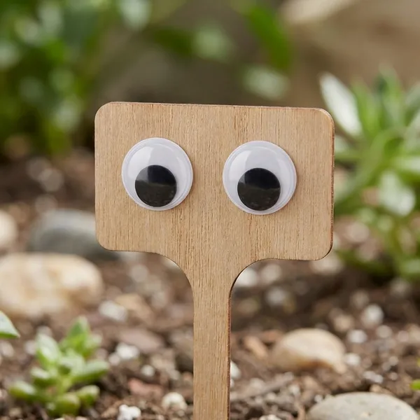 Plant_Swag_Eyes_|Plant_Magnets_|_Plant_Safe_Googly_Eyes_For_Potted_Plants_|_Magnet_Charms_|Plant_Decor_|_Cute_Plant_Accessories_For_Indoor_|_Plant_Peepers_For_Office_Pots_(6_Pair)