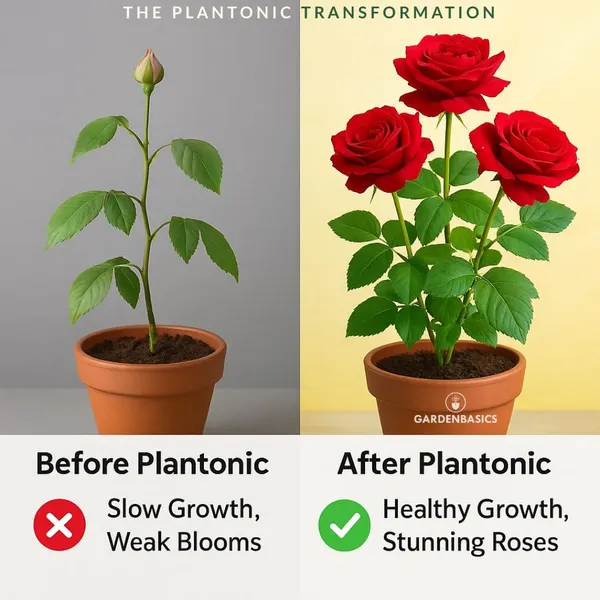 Plantonic_Seaweed_Tablets_For_Plant_Growth_Organic_Plant_Food_For_Indoor_Outdoor_Plants_Easy_To_Use_No_Mess_More_Blooms_Greener_Leaves_Strong_Roots_100_Tablets_For_Plants