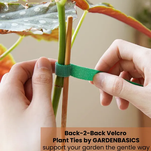 GARDENBASICS_10_Pcs_Plant_Ties_for_Climbers_|_Garden_Ties_|_Gentle_Plant_Support_|_Plant_Tie_Strap_for_Outdoor_Indoor_Climbing_Plants_|_No_Twist_No_Wire_|_Velcro_Tap_for_Creepers_|_Cable_Management