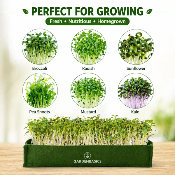 400_Gsm_Geo_Fabric_Microgreen_Growing_Tray_|_Grow_Bag_Trays_|_Reusable_Breathable_Planter_For_Fast_&_Healthy_Microgreens_|_Indoor_Growing_Kit_Base_|_Green_Heavy_Duty_Grow_Bed_(Pack_Of_4)