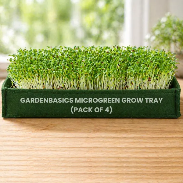 400_Gsm_Geo_Fabric_Microgreen_Growing_Tray_|_Grow_Bag_Trays_|_Reusable_Breathable_Planter_For_Fast_&_Healthy_Microgreens_|_Indoor_Growing_Kit_Base_|_Green_Heavy_Duty_Grow_Bed_(Pack_Of_4)