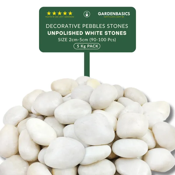 GARDENBASICS_Unpolished_White_Pebbles_for_Plants_Pots_|_Decorative_Pebbles_Stones_for_Garden_|_Pebble_Stones_for_Table_Decoration_|_River_Rocks_for_Potted_Indoor_Planters_|_Fish_Tank_Aquarium_|_5_KG