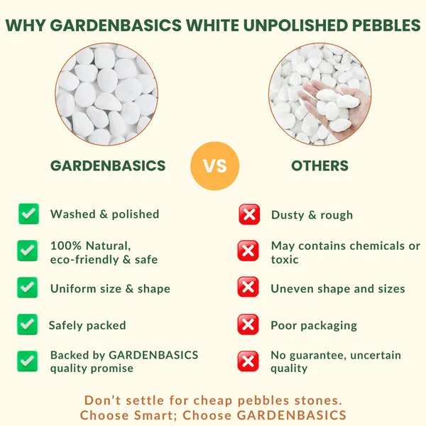 GARDENBASICS_Unpolished_White_Pebbles_for_Plants_Pots_|_Decorative_Pebbles_Stones_for_Garden_|_Pebble_Stones_for_Table_Decoration_|_River_Rocks_for_Potted_Indoor_Planters_|_Fish_Tank_Aquarium_|_5_KG