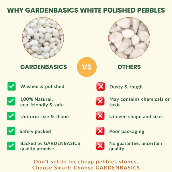 GARDENBASICS_Polished_White_Pebbles_for_Plants_Pots_|_Decorative_Pebbles_Stones_for_Garden_|_Pebble_Stones_for_Table_Decoration_|_River_Rocks_for_Potted_Indoor_Planters_|_Fish_Tank_Aquarium_|_1_KG