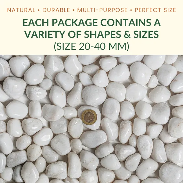 GARDENBASICS_Polished_White_Pebbles_for_Plants_Pots_|_Decorative_Pebbles_Stones_for_Garden_|_Pebble_Stones_for_Table_Decoration_|_River_Rocks_for_Potted_Indoor_Planters_|_Fish_Tank_Aquarium_|_1_KG