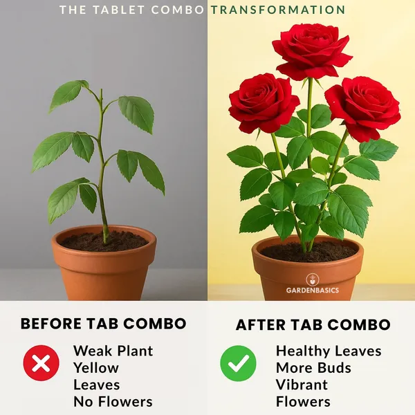 Plant_Growth_Booster_&_Flower_Booster_Tablets_Combo_|_Seaweed_+_Micronutrient_Tablets_|_Indoor_&_Outdoor_Plants_|_Bloom_Magic_&_Plantonic_|_Plant_Food_For_Balcony_Terrace_&_Home_Garden