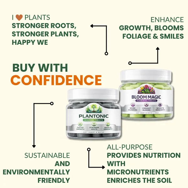 Plant_Growth_Booster_&_Flower_Booster_Tablets_Combo_|_Seaweed_+_Micronutrient_Tablets_|_Indoor_&_Outdoor_Plants_|_Bloom_Magic_&_Plantonic_|_Plant_Food_For_Balcony_Terrace_&_Home_Garden