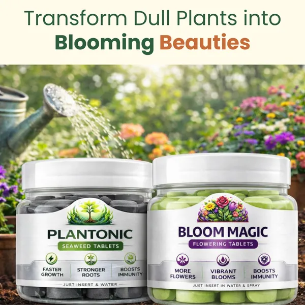 Plant_Growth_Booster_&_Flower_Booster_Tablets_Combo_|_Seaweed_+_Micronutrient_Tablets_|_Indoor_&_Outdoor_Plants_|_Bloom_Magic_&_Plantonic_|_Plant_Food_For_Balcony_Terrace_&_Home_Garden